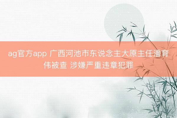ag官方app 广西河池市东说念主大原主任潘育伟被查 涉嫌严重违章犯罪
