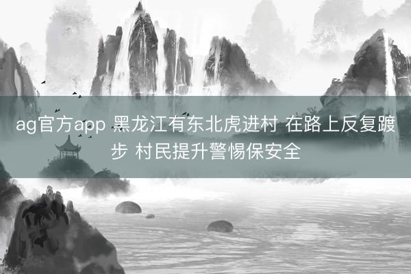 ag官方app 黑龙江有东北虎进村 在路上反复踱步 村民提升警惕保安全